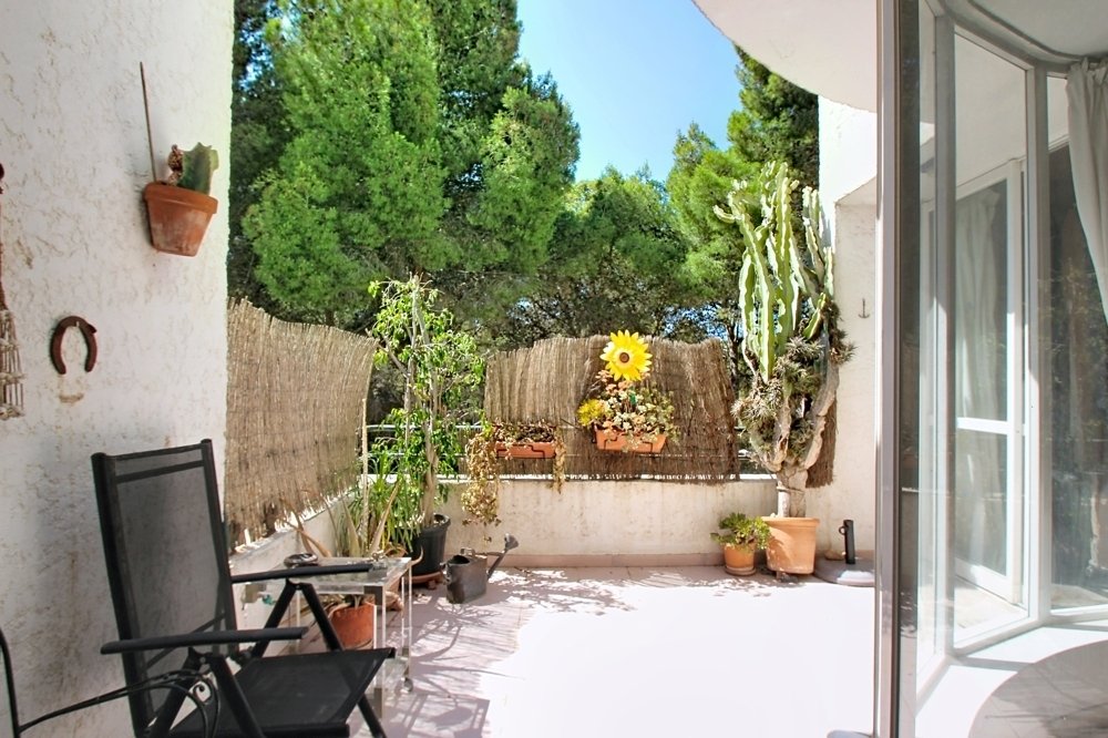 Apartment in Sol de Mallorca, Calvia, Balearic Islands 4 - 18806777