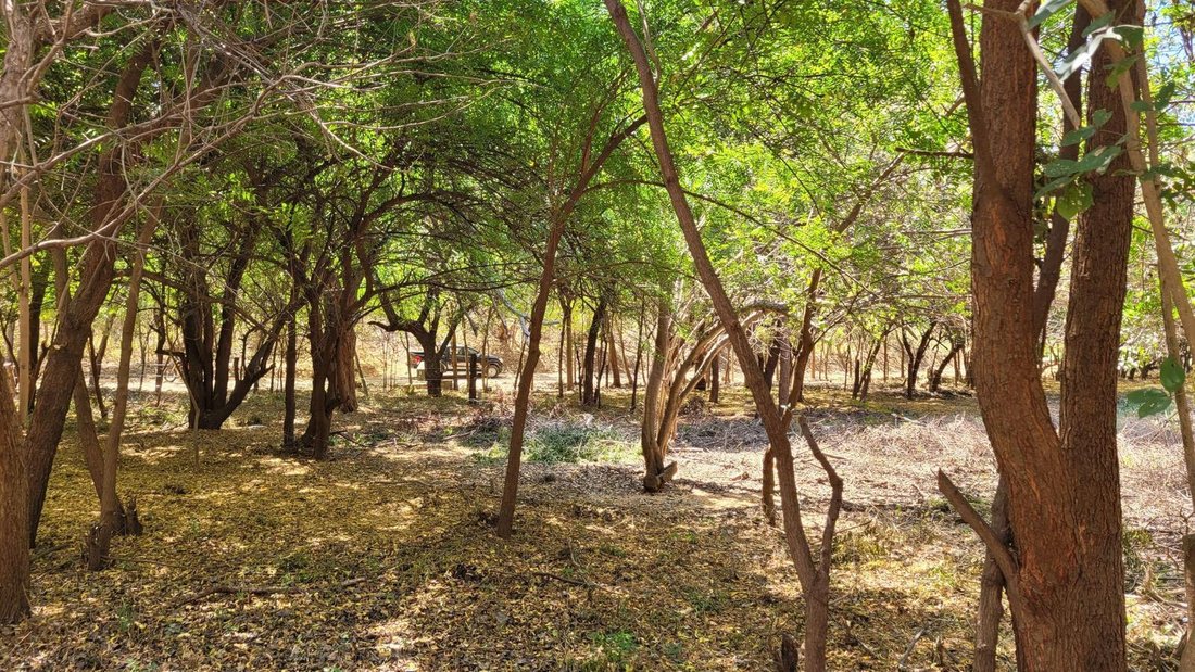 Land in La Barra, Oaxaca, Mexico 5 - 18583049