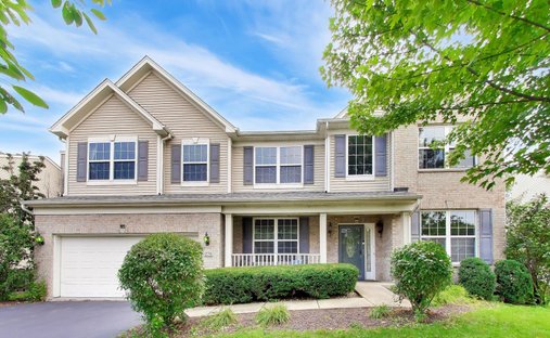 House in Bolingbrook, Illinois, United States 1