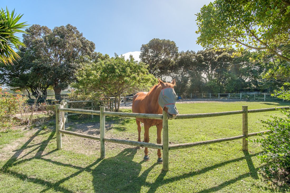 Land in Noordhoek, Cape Town, South Africa 4 - 18807509