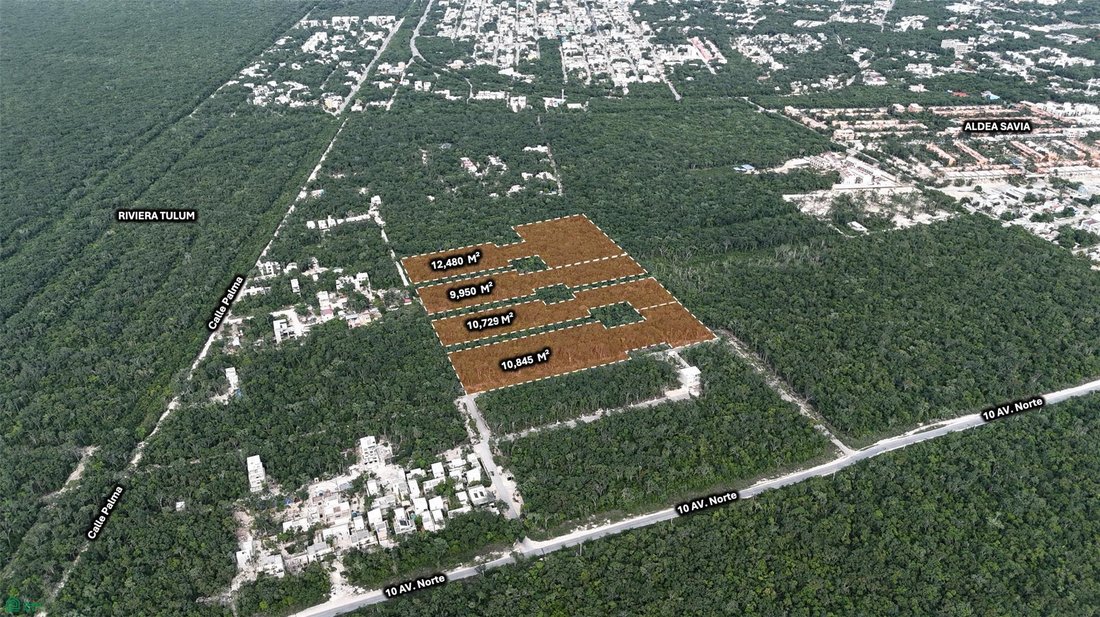 Terreno a Alma Tulum Hotel, Quintana Roo, Messico 3 - 17804343