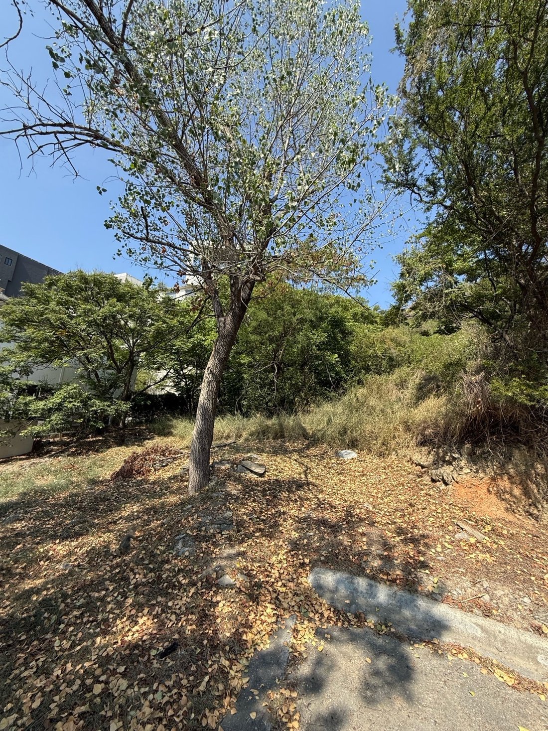 Land in San Pedro Garza García, Nuevo Leon, Mexico 1 - 18807353