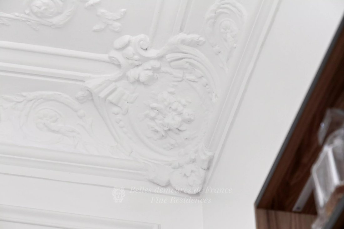 Apartment in Chaillot, Paris 16e Arrondissement, Paris 3 - 18806723