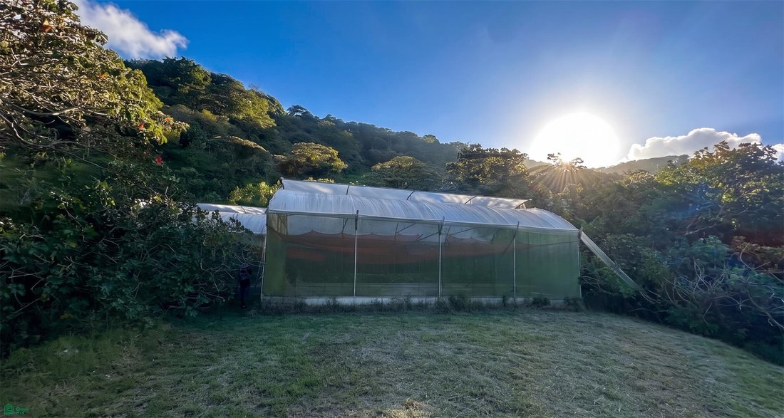 Terreno en San Rafael, Provincia de Cartago, Costa Rica 5 - 18697620
