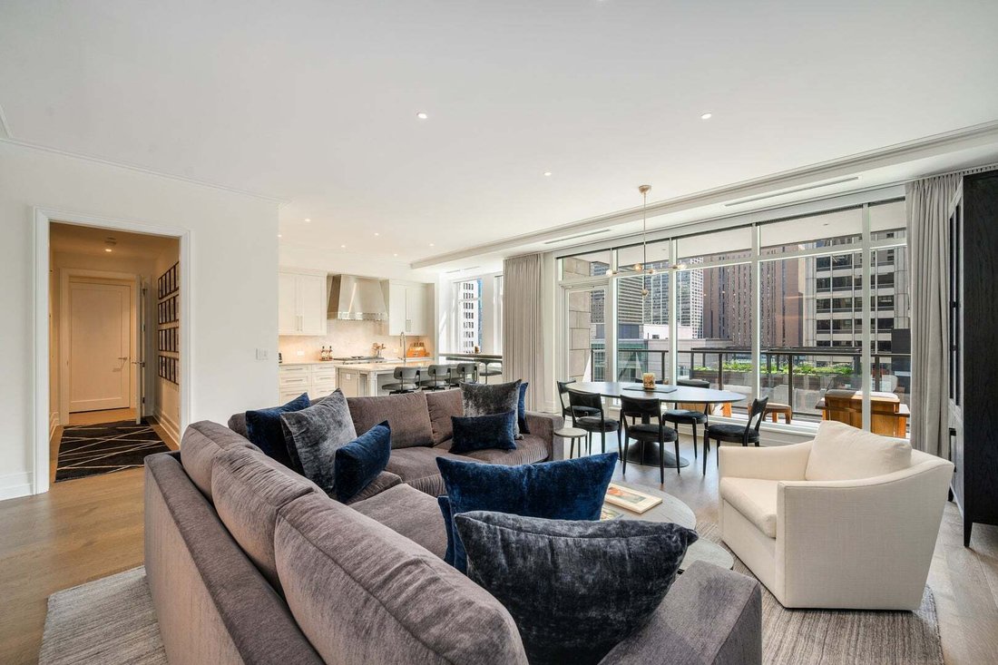 Condominio en Chicago, Illinois, Estados Unidos 5 - 18808079