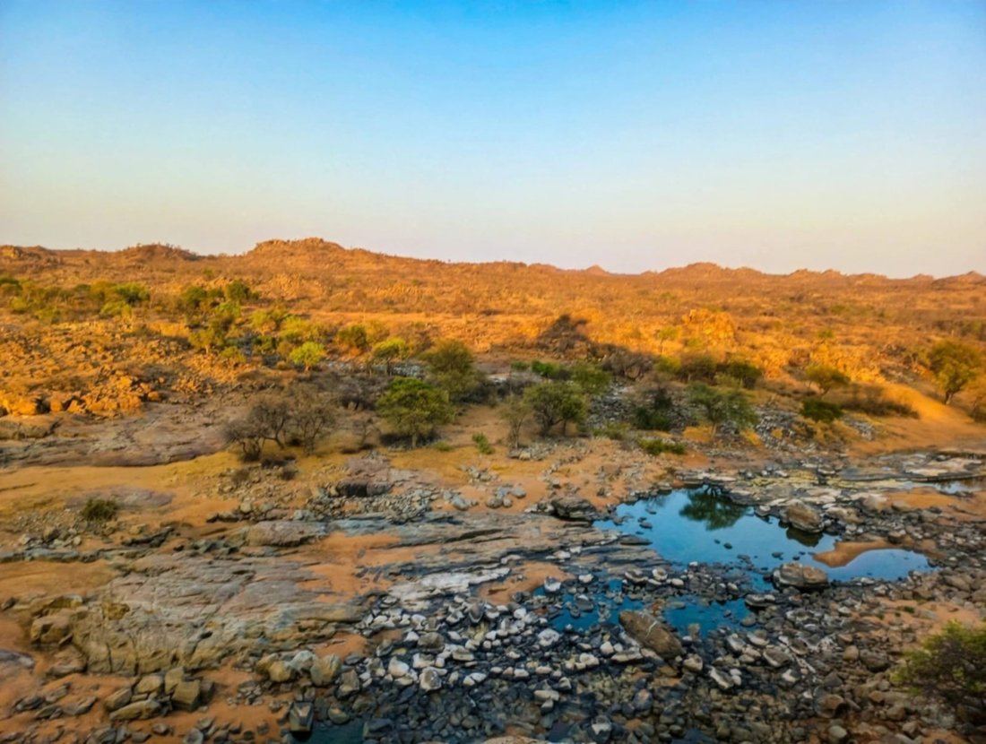 Farm Ranch in Musina, Limpopo, South Africa 1 - 18807510
