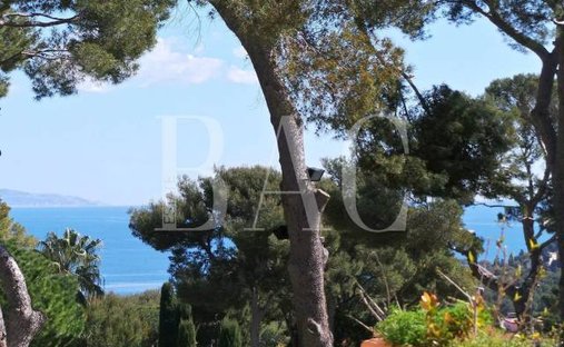Villa in Saint-Jean-Cap-Ferrat, Provence-Alpes-Côte d'Azur, Frankreich 1