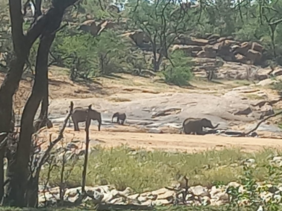 Farm Ranch in Musina, Limpopo, South Africa 5 - 18807510
