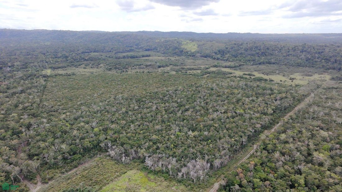 Terreno en Spanish Lookout, Distrito de Cayo, Belice 4 - 17815166