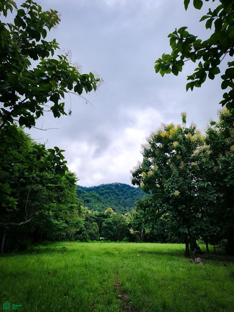 Land in Paquera, Puntarenas Province, Costa Rica 5 - 17810874