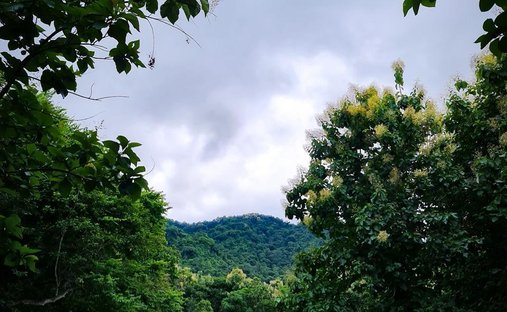 Land in Paquera, Puntarenas Province, Costa Rica 1