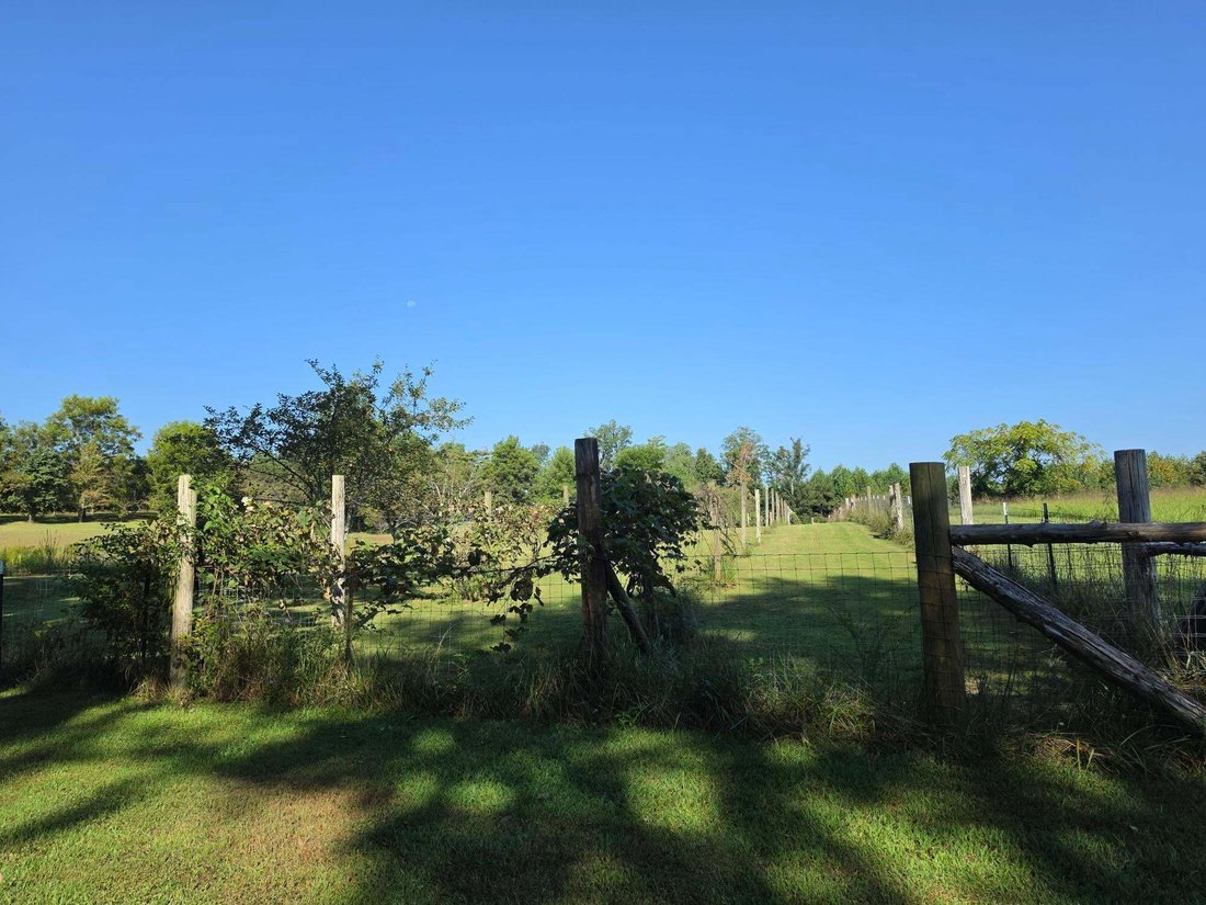 Farm Ranch in Pikeville, Tennessee, United States 4 - 18807920
