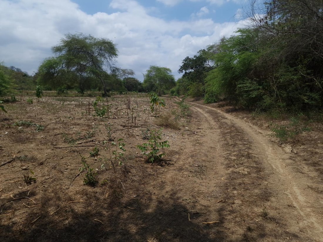Land in Iceras, Santa Elena, Ecuador 2 - 18807296
