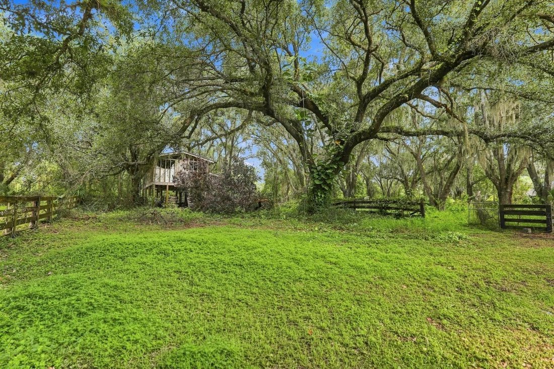 Farm Ranch in Arcadia, Florida, Vereinigte Staaten 5 - 18766670