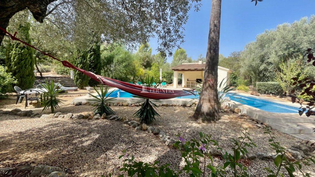 Villa in Lliber, Valencian Community, Spain 4 - 18808407