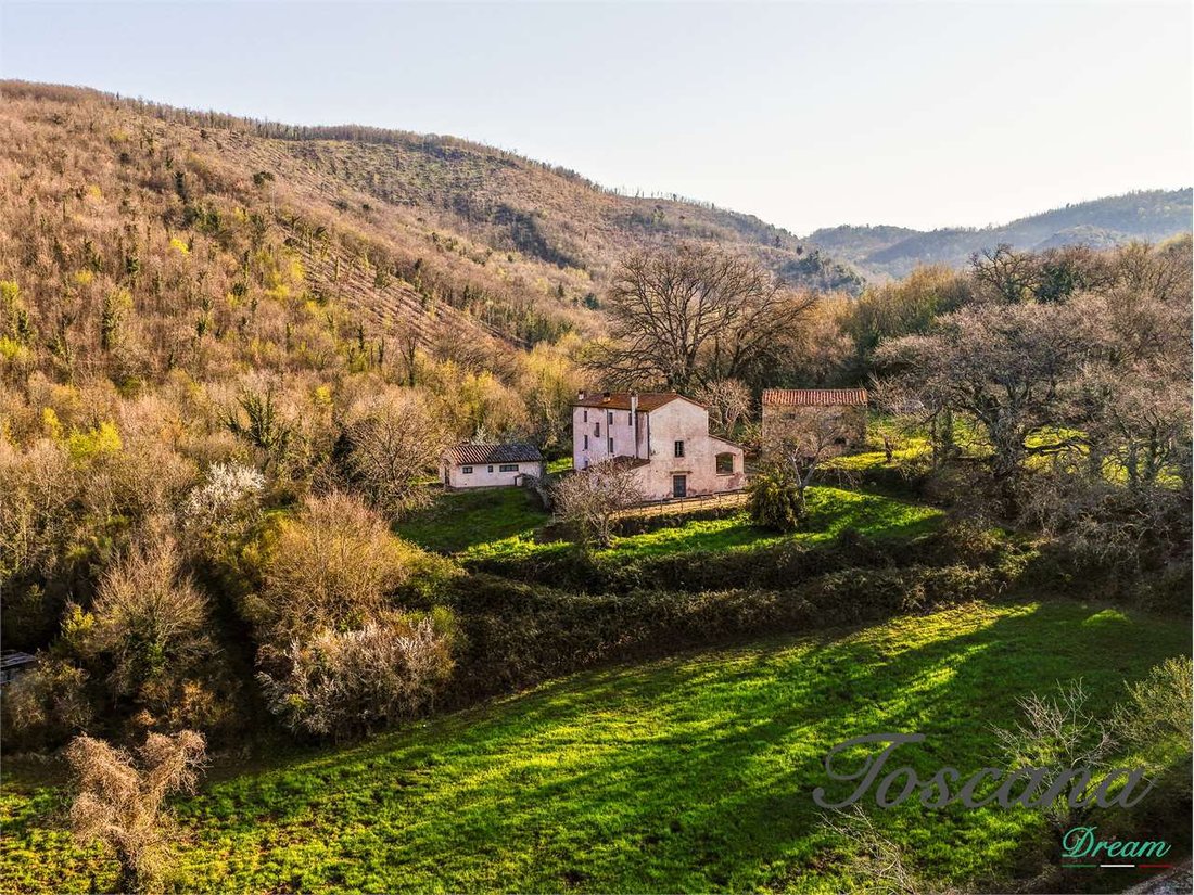 Estate in Massa Marittima, Tuscany, Italy 2 - 18808295