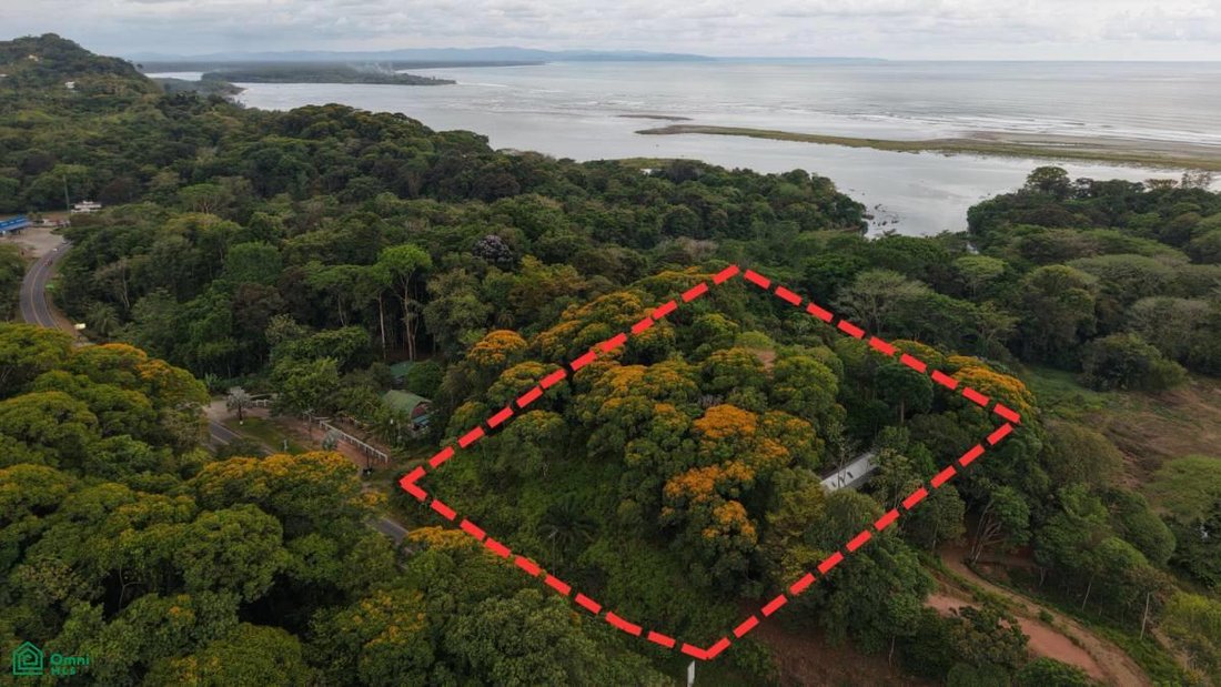 Haus in Chacara, Provinz Puntarenas, Costa Rica 1 - 17765147