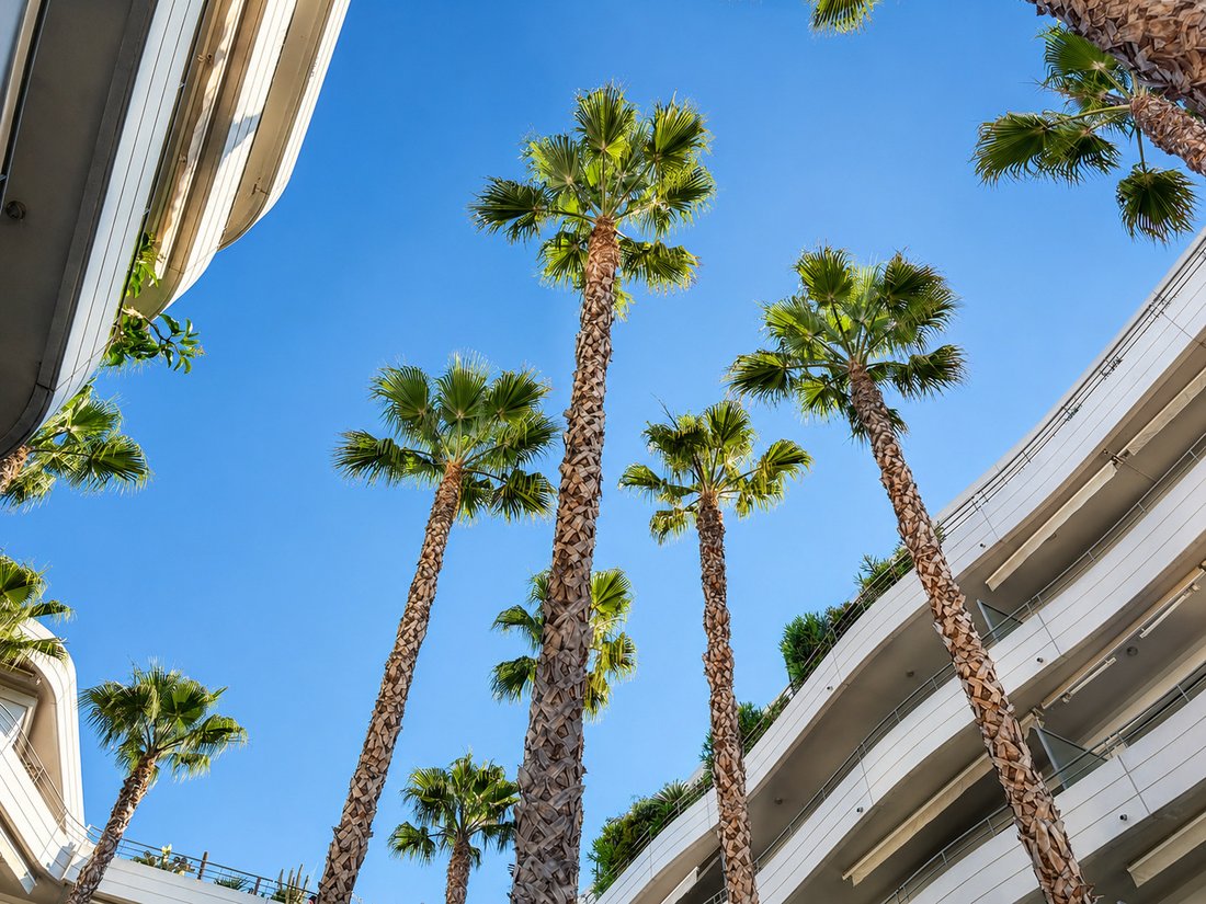 Apartment in Menton, Provence-Alpes-Côte d'Azur, France 4 - 16334882