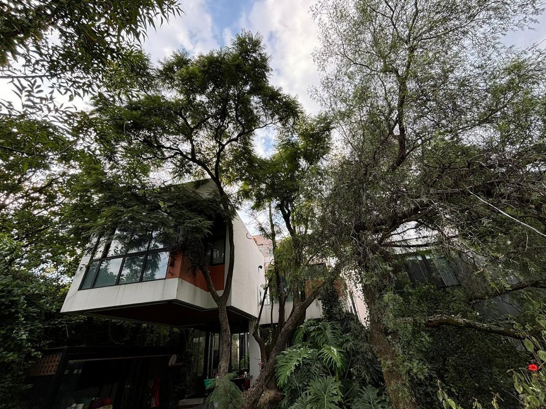 Haus in Mexico City, Mexiko 4 - 18806895