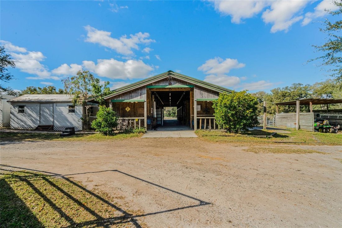Andere in Apopka, Florida, Vereinigte Staaten 5 - 18808037