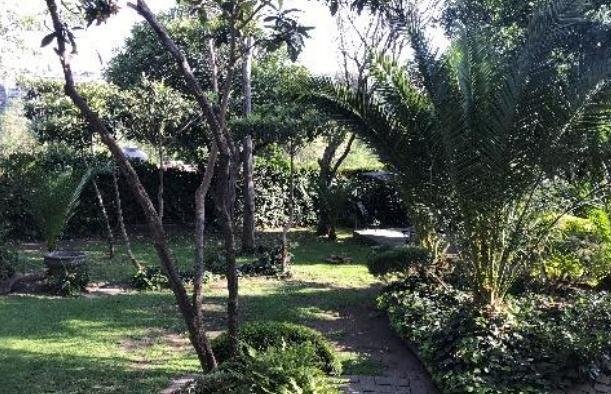 Haus in Naucalpan de Juárez, Bundesstaat Mexiko, Mexiko 4 - 18806852