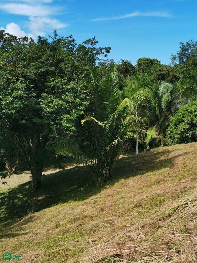 Land in Quepos, Provinz Puntarenas, Costa Rica 5 - 17811225