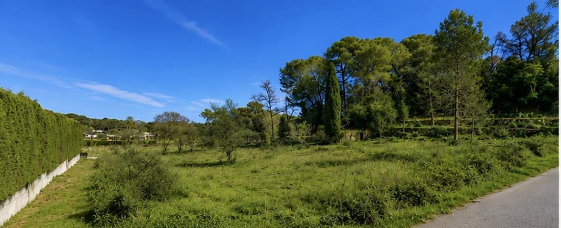 Land in Mougins, Provence-Alpes-Côte d'Azur, France 2 - 17471779