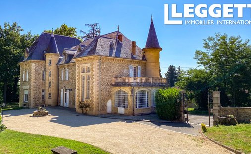 Castle in Marcilloles, Auvergne-Rhône-Alpes, France 1