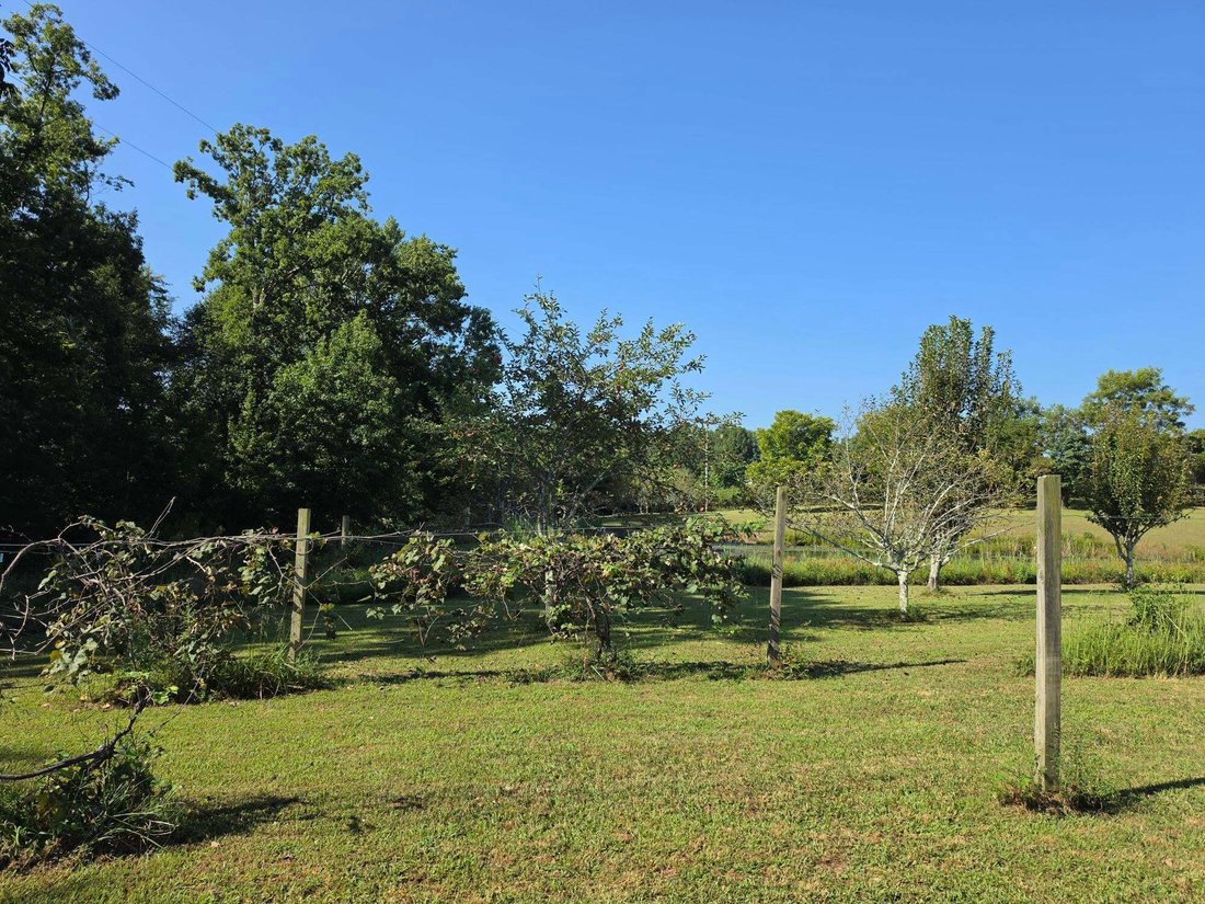 Farm Ranch in Pikeville, Tennessee, United States 5 - 18807920