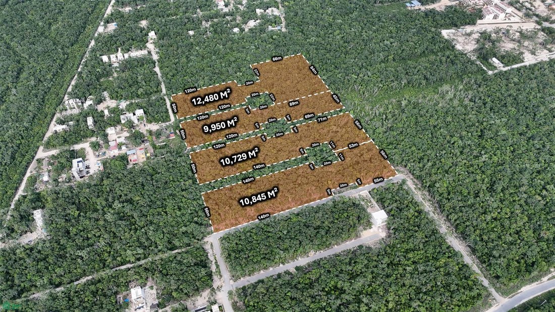 Terreno a Alma Tulum Hotel, Quintana Roo, Messico 2 - 17804343