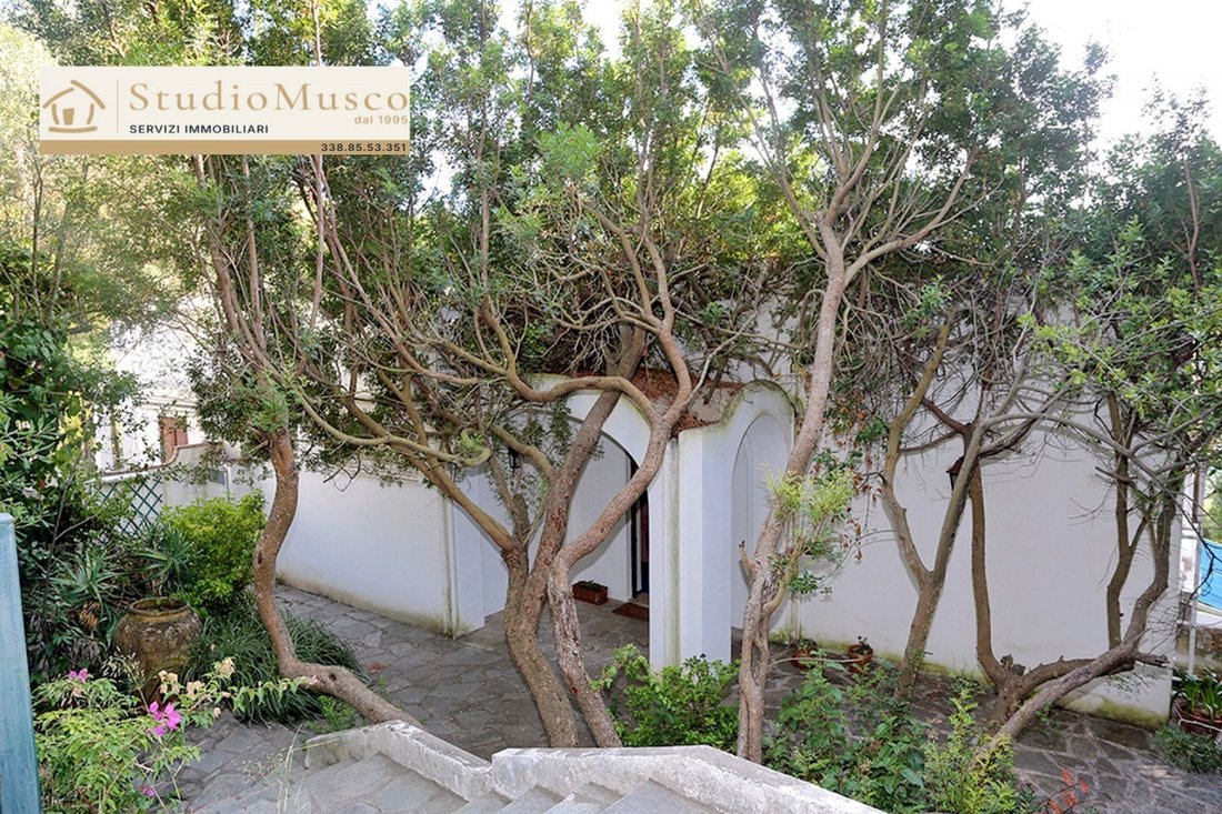Apartment in Anacapri, Campania, Italy 3 - 18803642