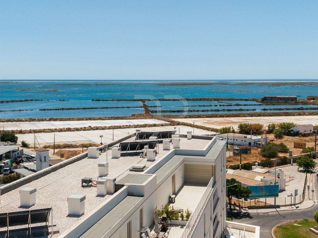 Apartment in Faro (Se e Sao Pedro), Algarve, Portugal 2 - 18808699