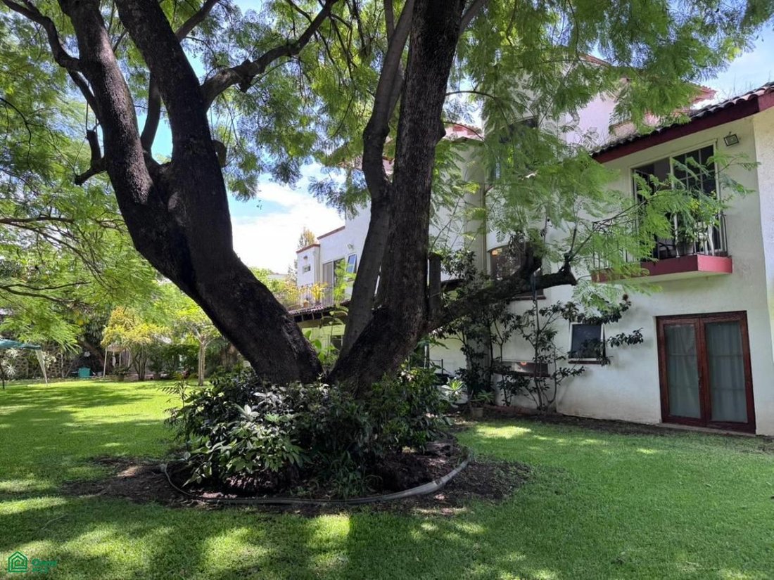 House in Cuernavaca, Morelos, Mexico 3 - 18318652
