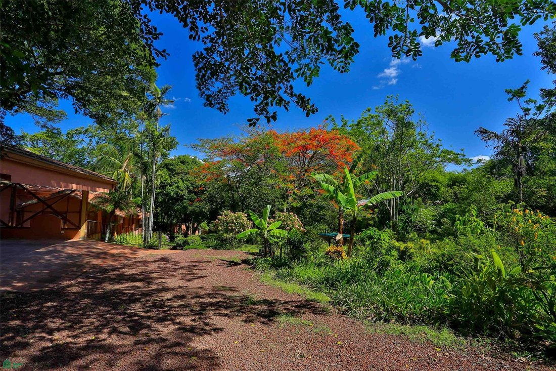 Casa a Río Oro, San José, Costa Rica 4 - 17763684