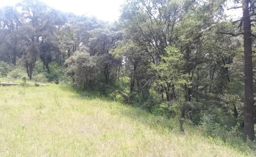 Land in Espíritu Santo, State of Mexico, Mexico 1