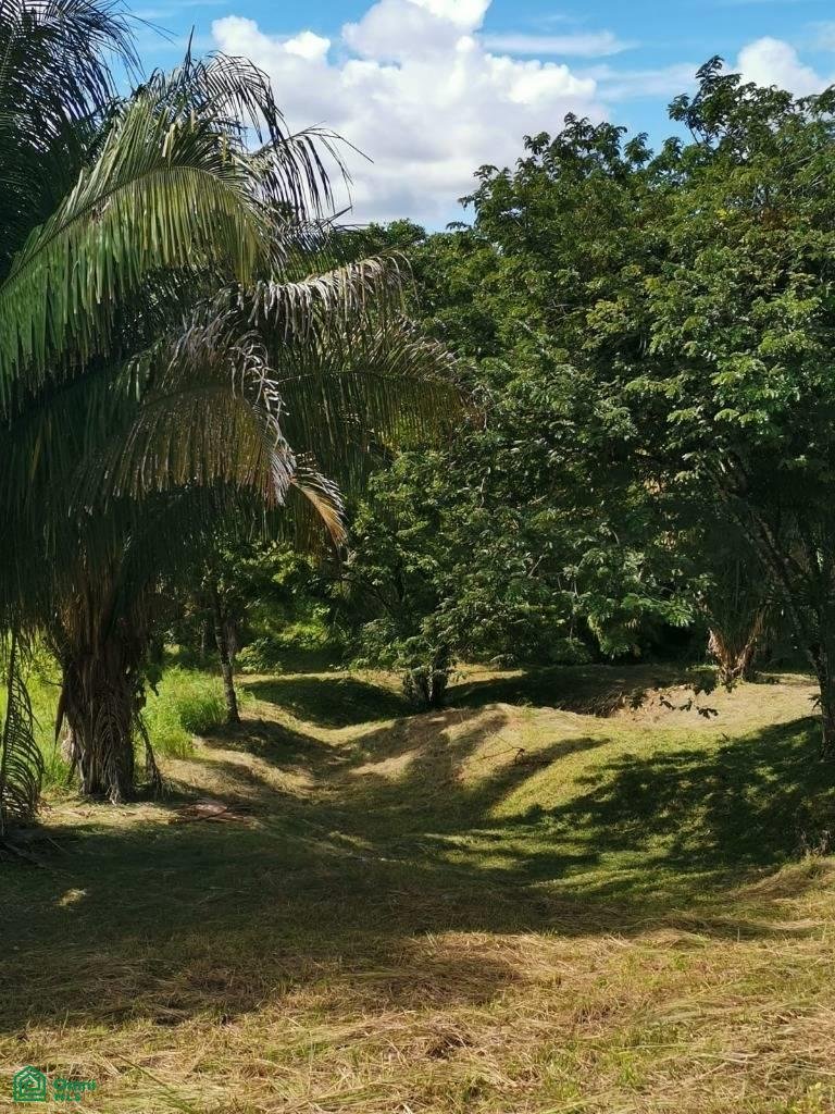 Terrain en Quepos, Puntarenas, Costa Rica 4 - 17811225