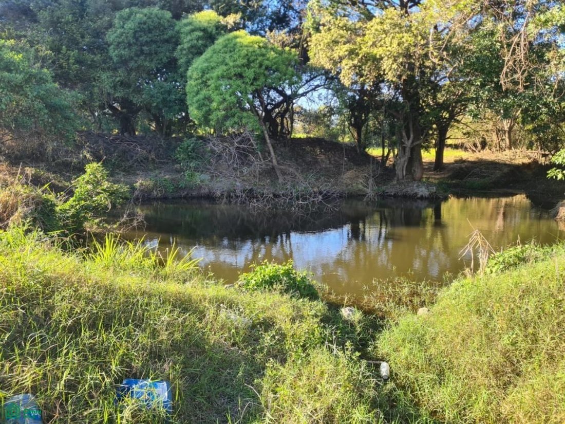 Land in Palmillas, Colima, Mexiko 3 - 17811025