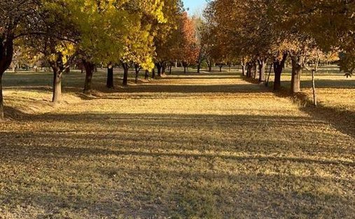 Terreno en Las Compuertas, Mendoza, Argentina 1