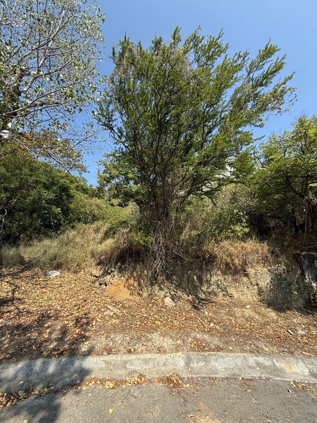 Land in San Pedro Garza García, Nuevo Leon, Mexico 5 - 18807353