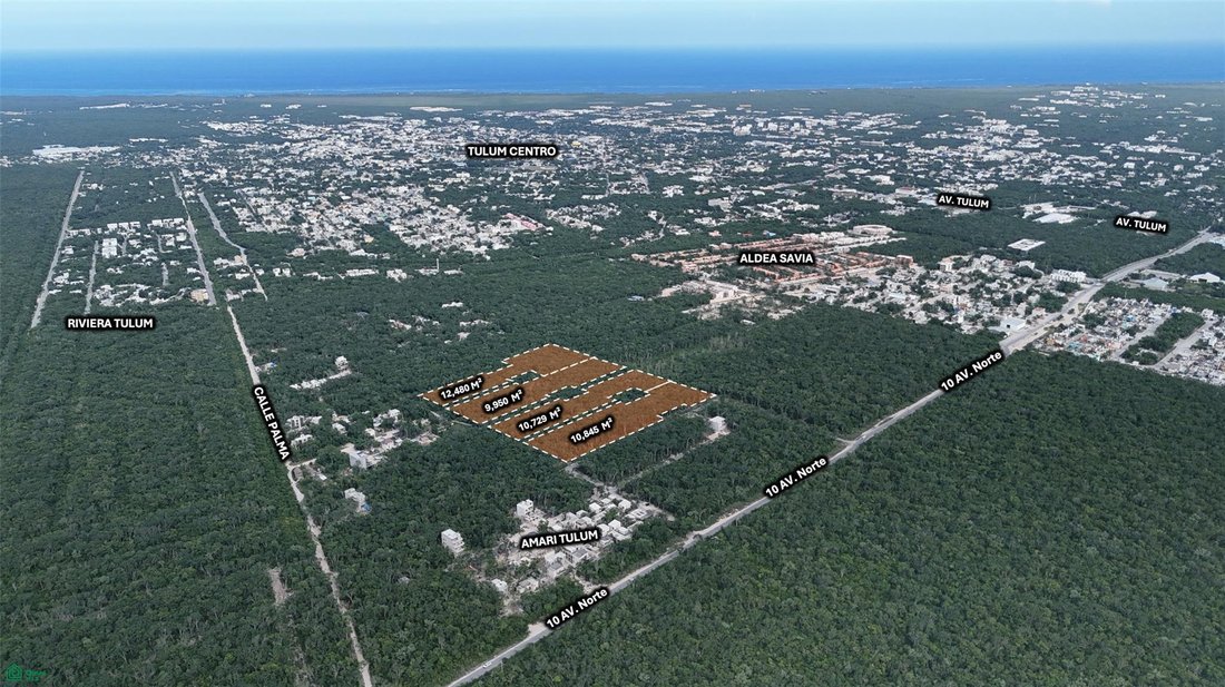 Terreno a Alma Tulum Hotel, Quintana Roo, Messico 5 - 17804343