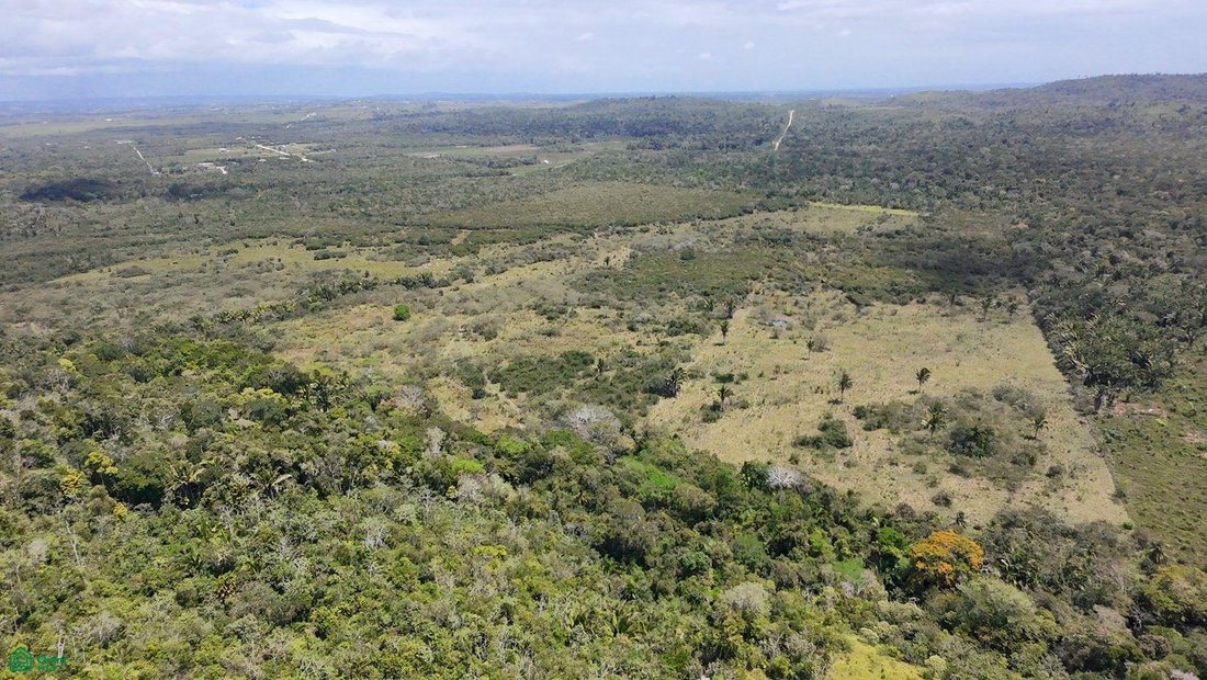 Terreno en Spanish Lookout, Distrito de Cayo, Belice 1 - 17815166