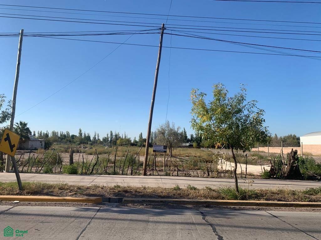 Terreno a Maipú, Provincia di Mendoza, Argentina 4 - 18567030