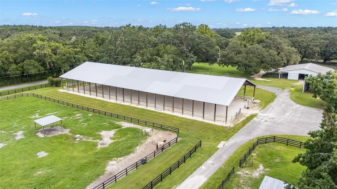 Corps de ferme à Williston, Floride, États-Unis 5 - 18808022