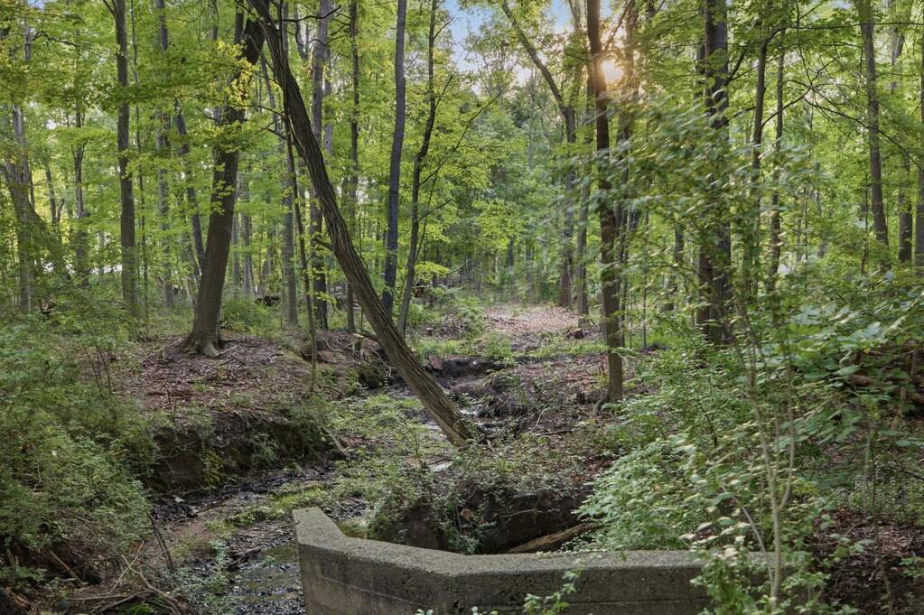 Terreno en Lakeside Road, Míchigan, Estados Unidos 2 - 18809380