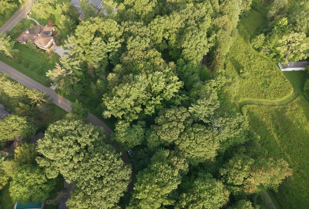 Terreno en Lakeside Road, Míchigan, Estados Unidos 3 - 18809380
