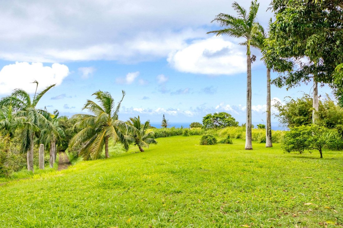 Farm Ranch in Hawi, Hawaii, Vereinigte Staaten 3 - 18809688