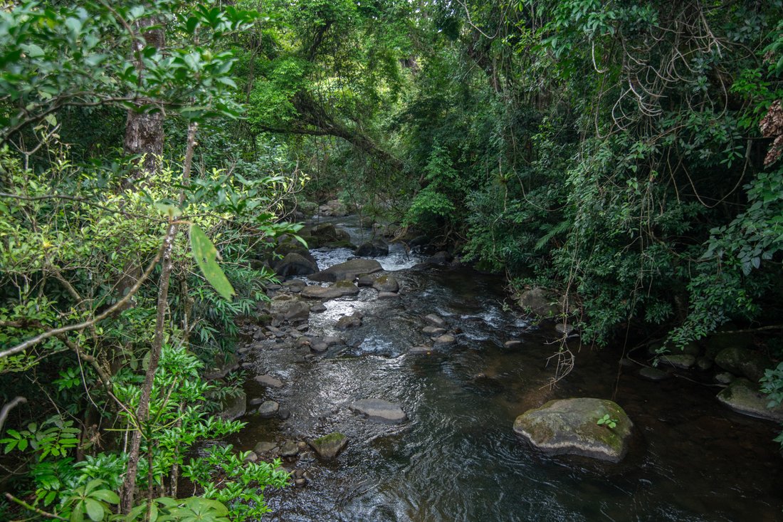 Terrain à Aguacaliente, Guanacaste, Costa Rica 3 - 18810398