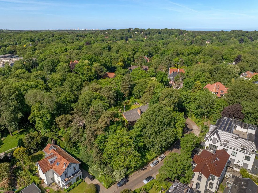 Land in Bloemendaal, Nordholland, Niederlande 3 - 18810458