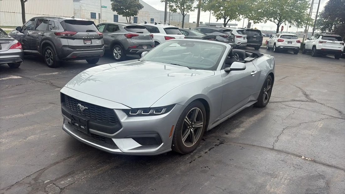 Cabriolet in Milwaukee, WI, United States 4 - 18810519