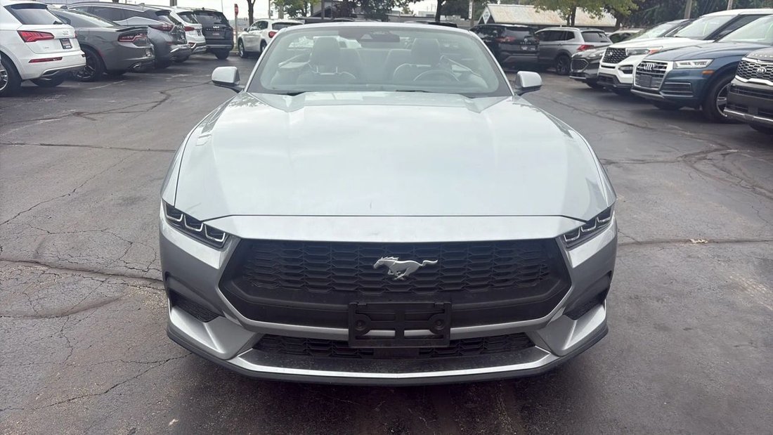 Cabriolet in Milwaukee, WI, United States 3 - 18810519